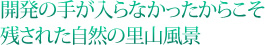 開発の手が入らなかったからこそ残された自然の里山風景