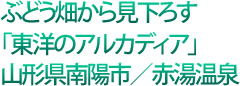 ぶどう畑から見下ろす「東洋のアルカディア」山形県南陽市/赤湯温泉